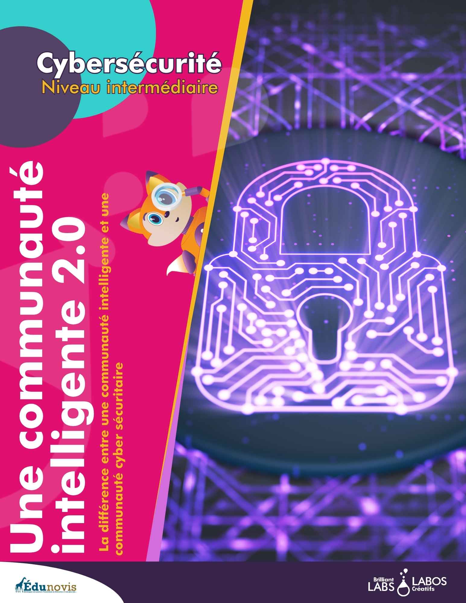 Vignette du document sur la cybersécurité, niveau 2, activité 6