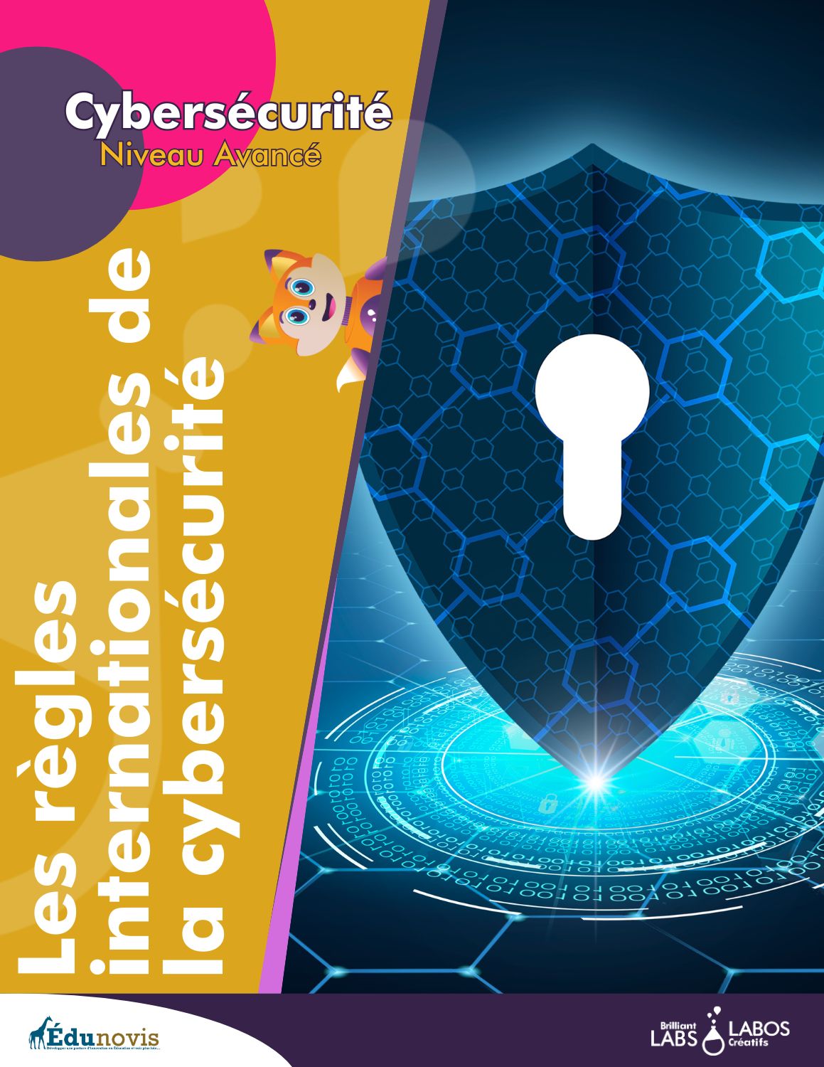 Vignette du document sur la cybersécurité, niveau 3, activité 2