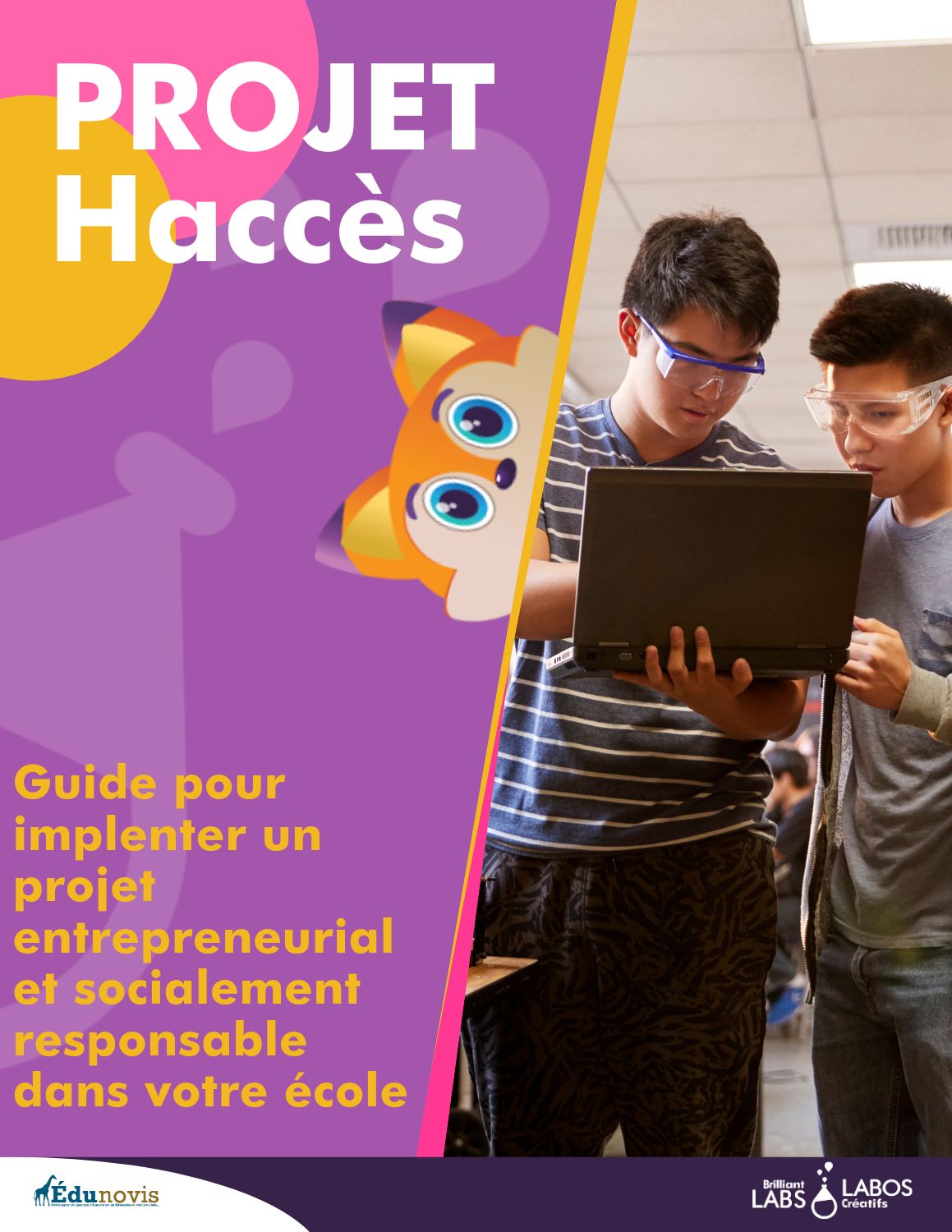Image miniature pour le document du projet haccess sur la cybersécurité