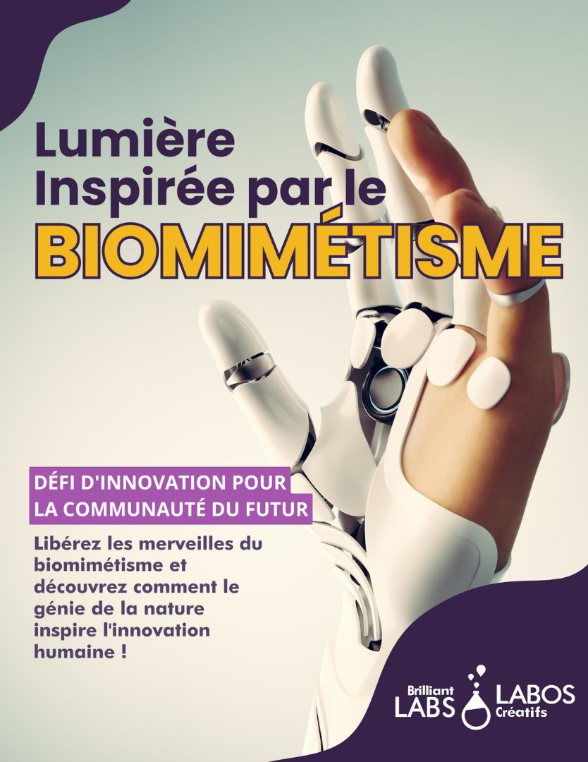 Photo de couverture pour le document du kit Biomimétisme